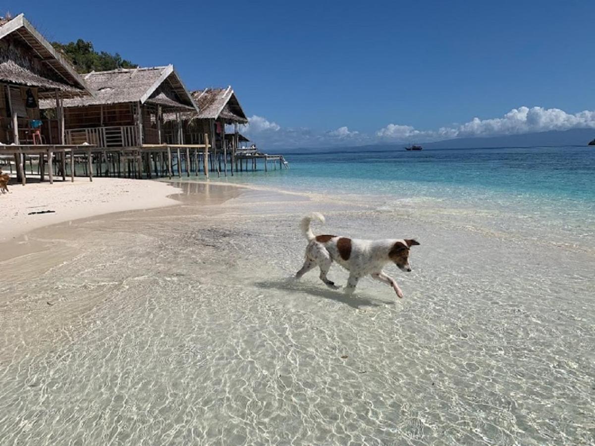 Nus Homestay Raja Ampat Kri Exterior foto
